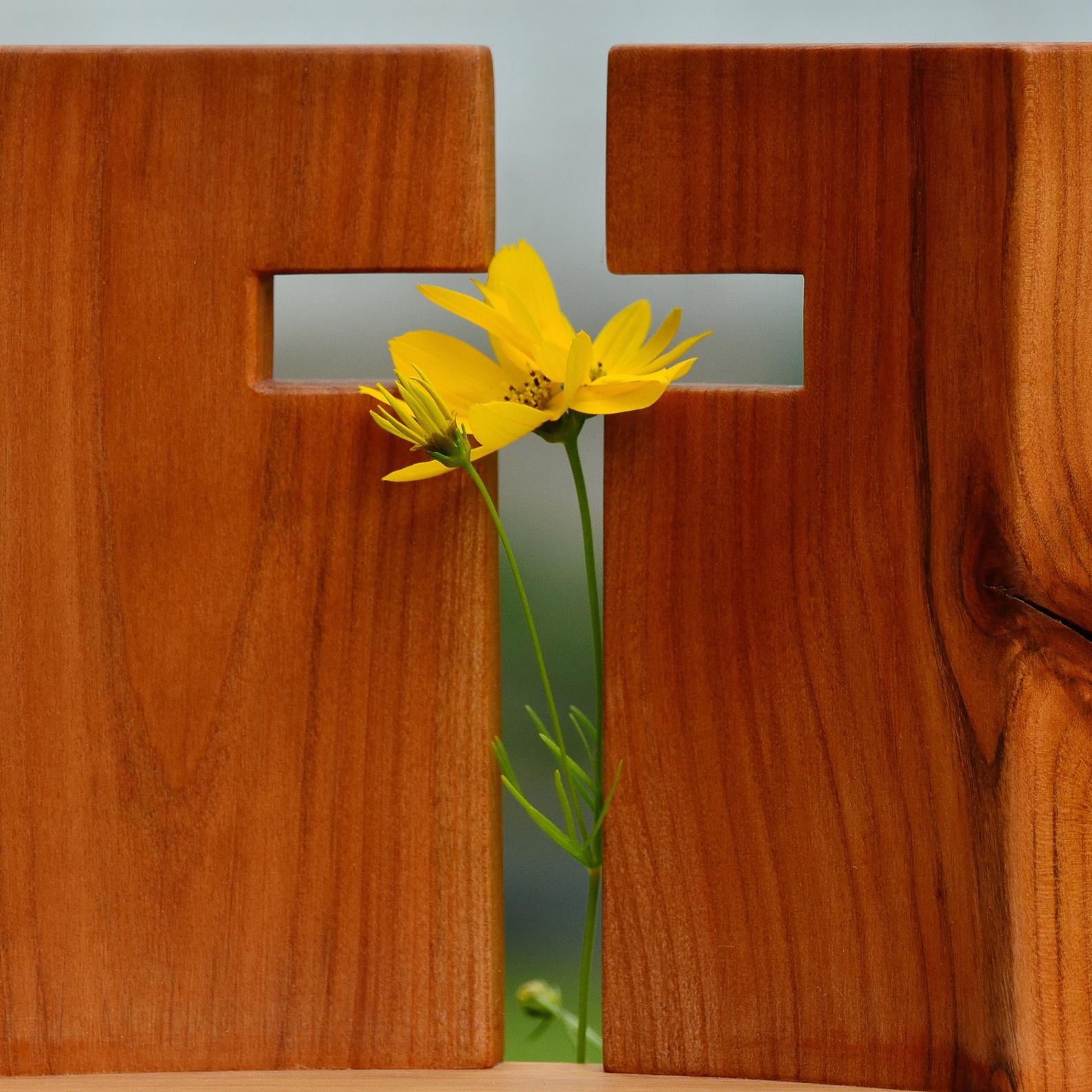 Im Kreuz ist Auferstehung