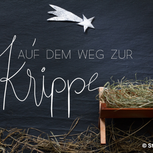 Weg_Krippe