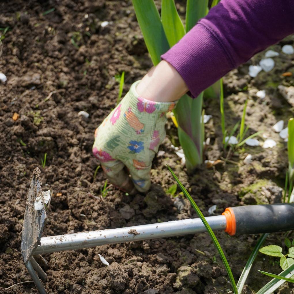 work-in-the-garden