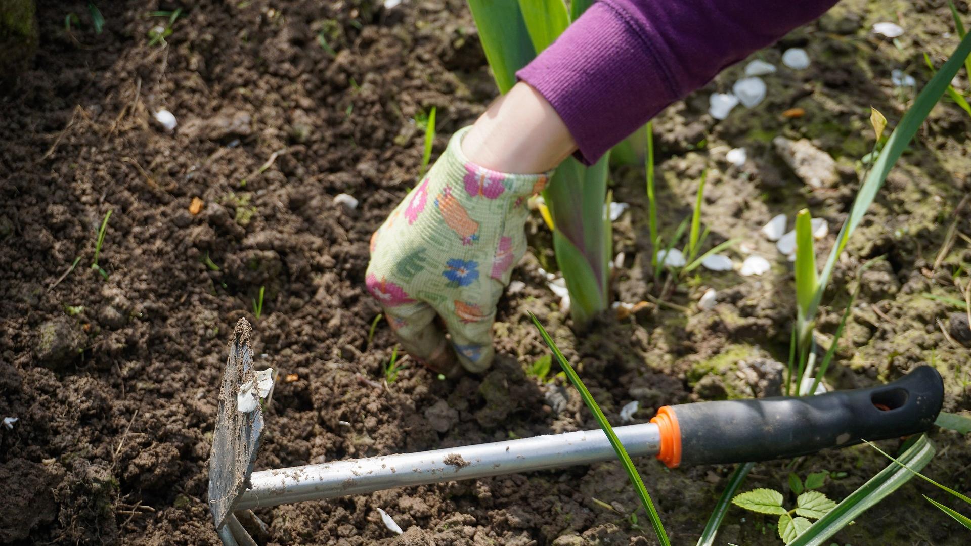 work-in-the-garden