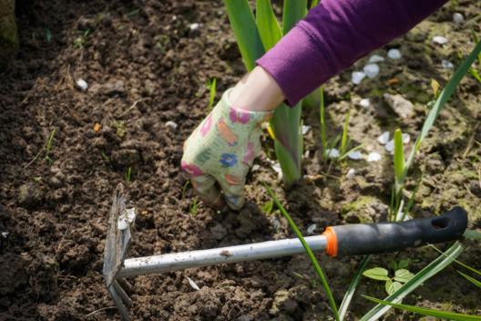 work-in-the-garden