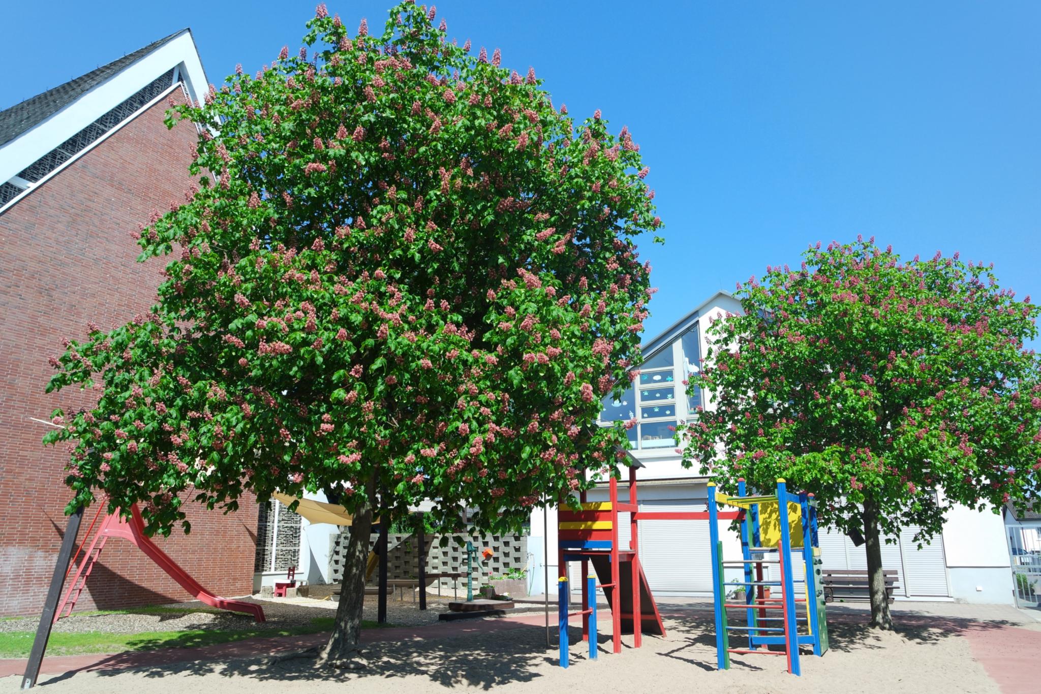 Kindergarten-Außengelände