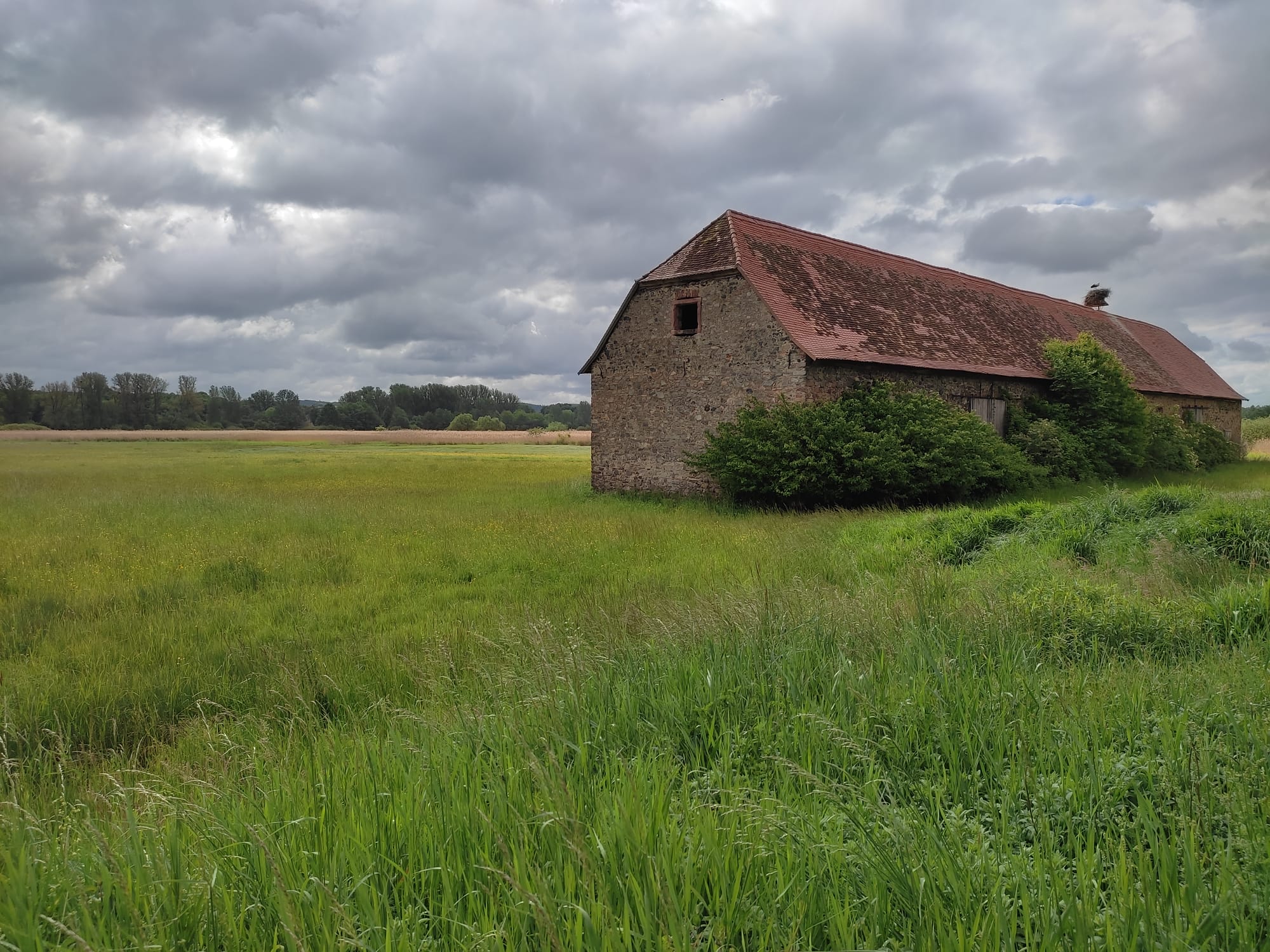 Kolpingsspaziergang am 2. Juni 2026 um den Reinheimer Teich