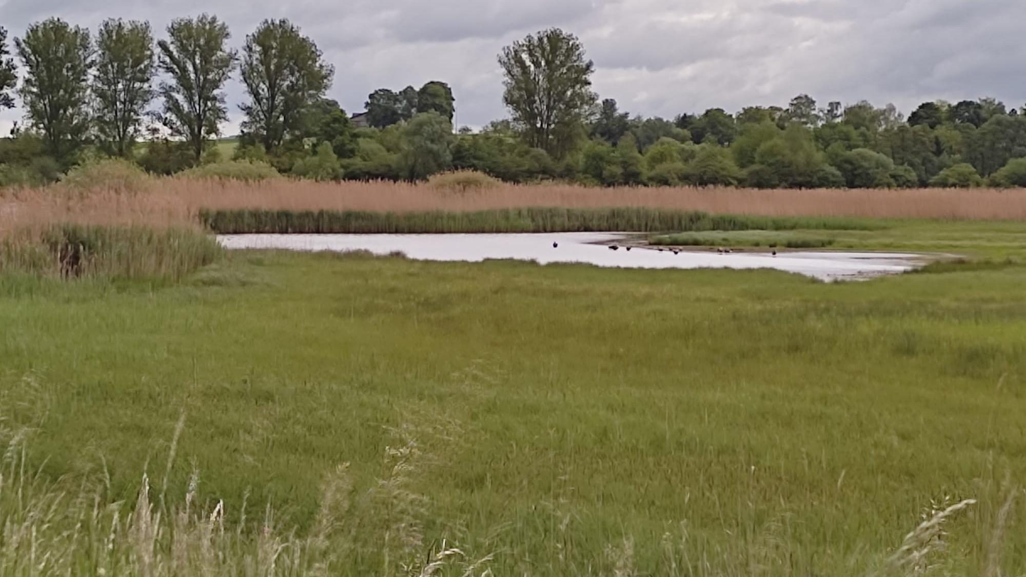 Kolpingsspaziergang 2. Juni 2026 - Reinheimer Teich