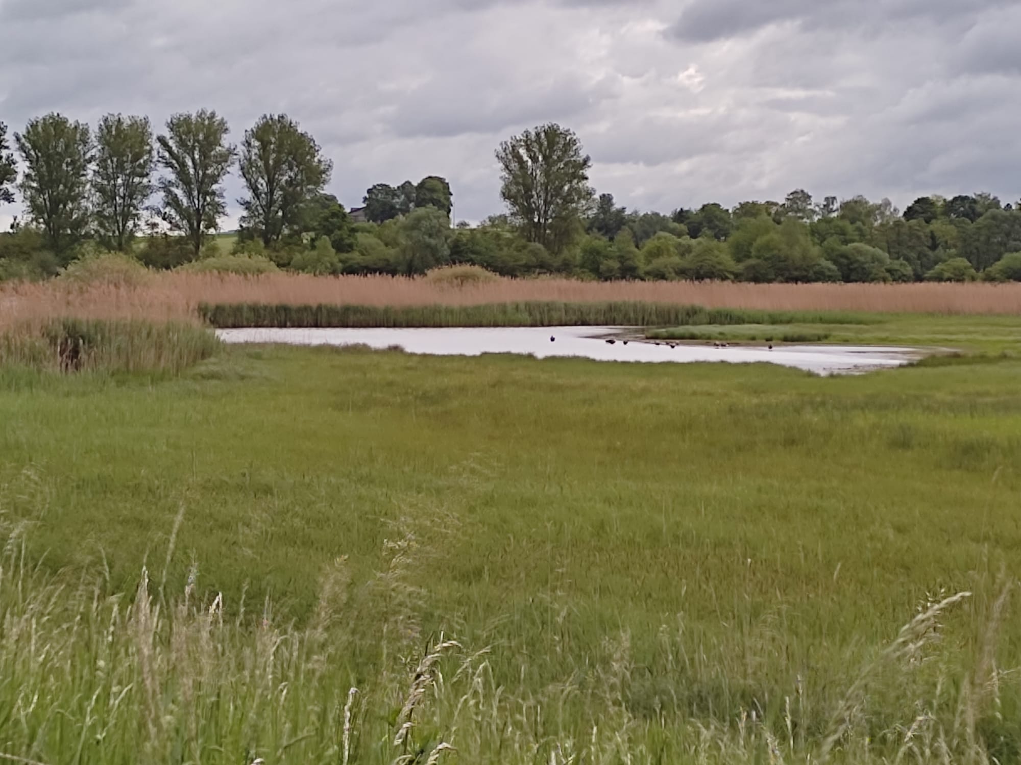 Kolpingsspaziergang 2. Juni 2026 - Reinheimer Teich