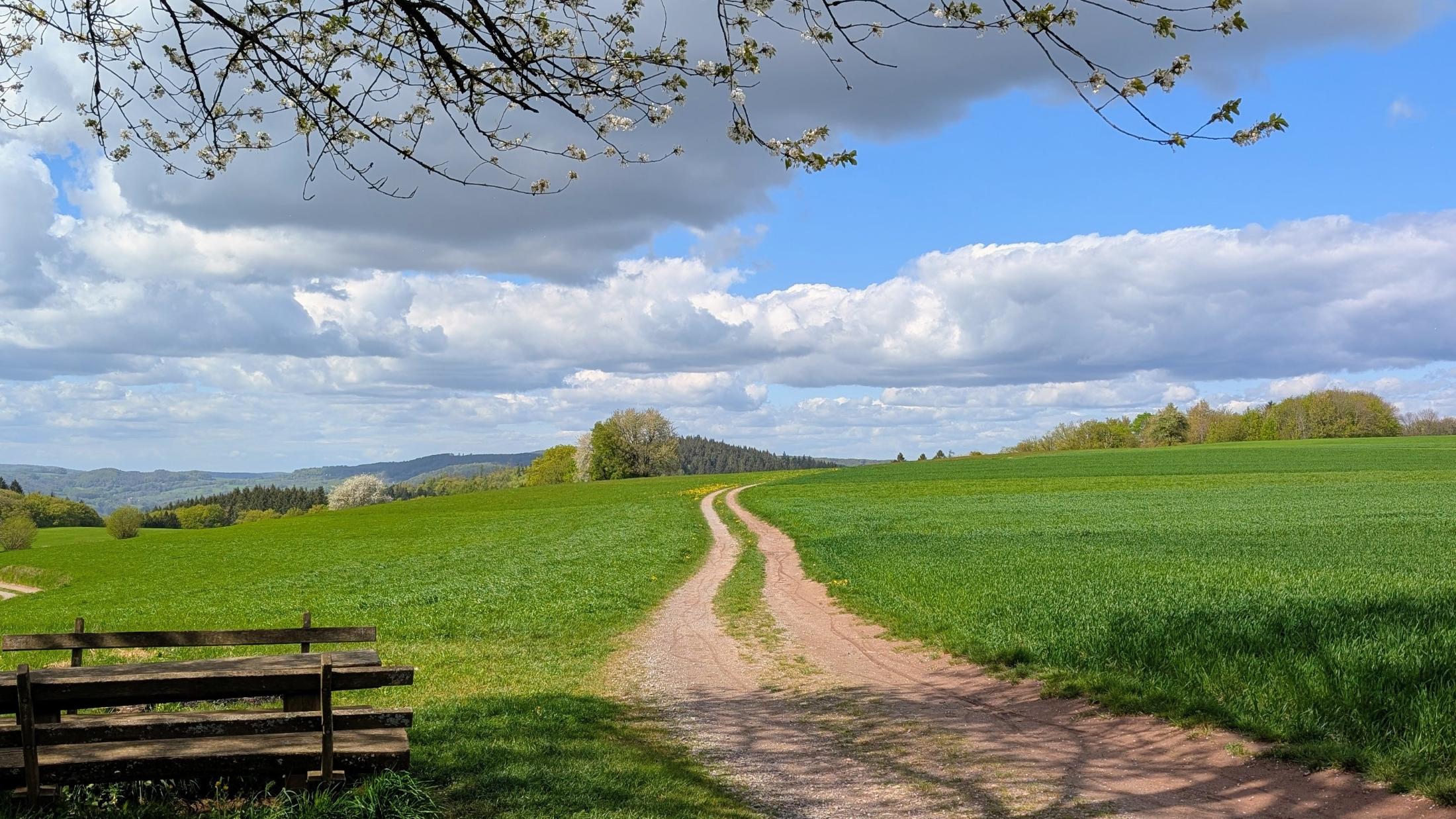Wanderung der Kolpingsfamilie am 1. Mai 2026