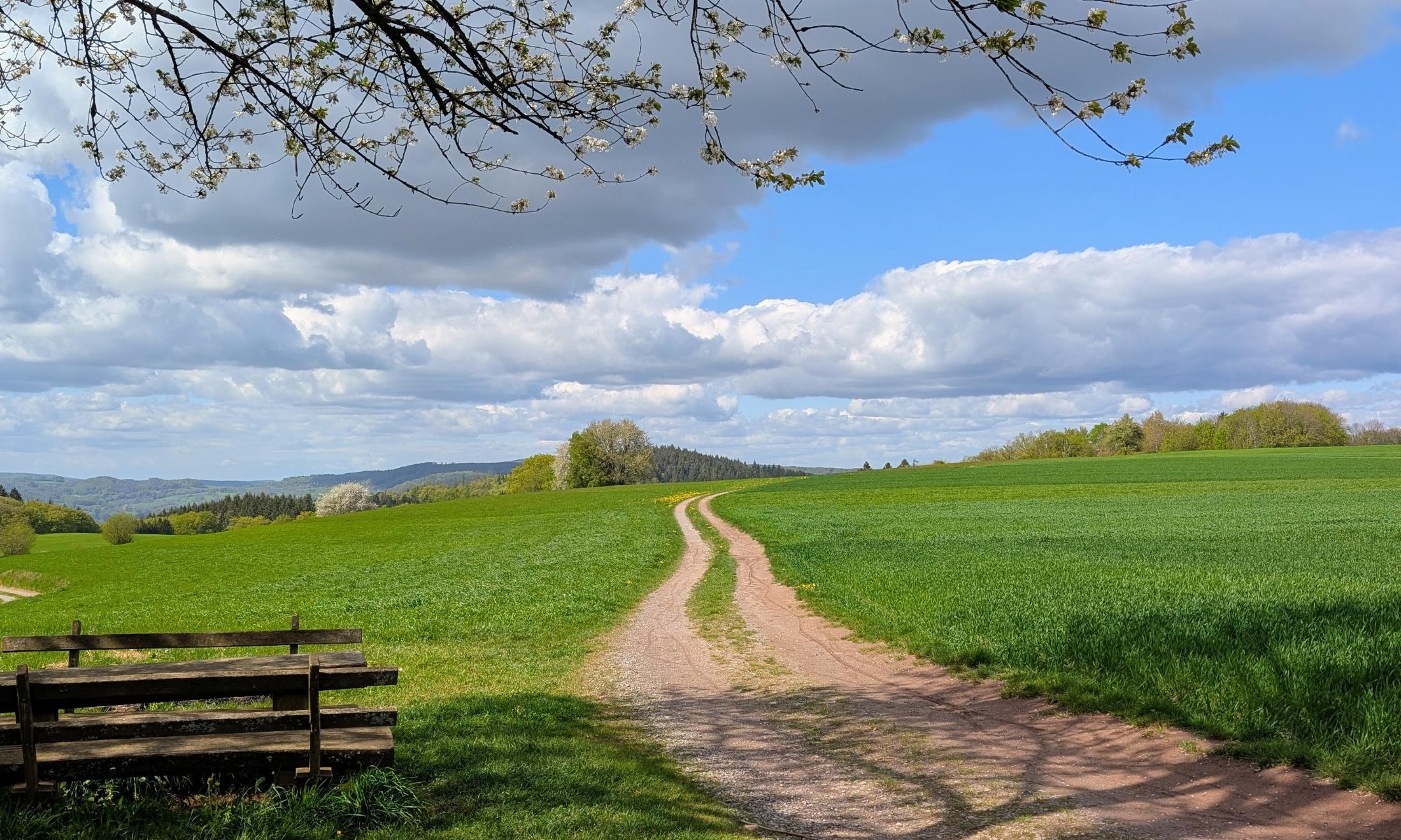 Wanderung der Kolpingsfamilie am 1. Mai 2026