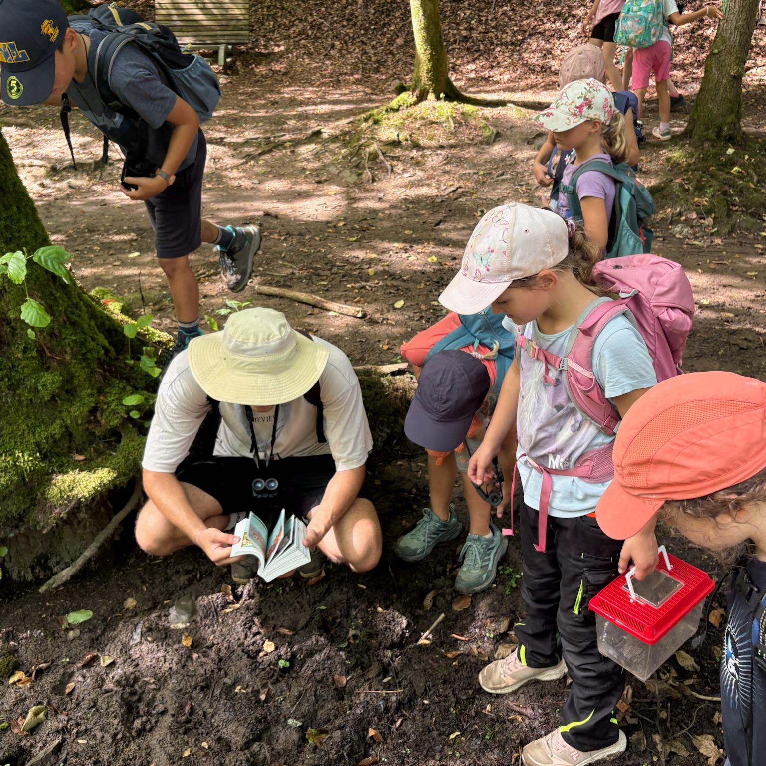 Wölflings-Sommerlager 2026: Ab in die Natur!