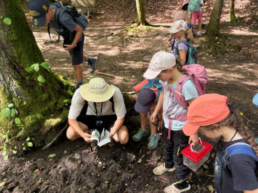 Wölflings-Sommerlager 2026: Ab in die Natur!