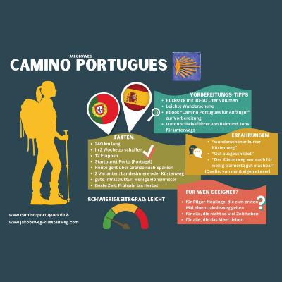 AAMINO PORTUGUES
