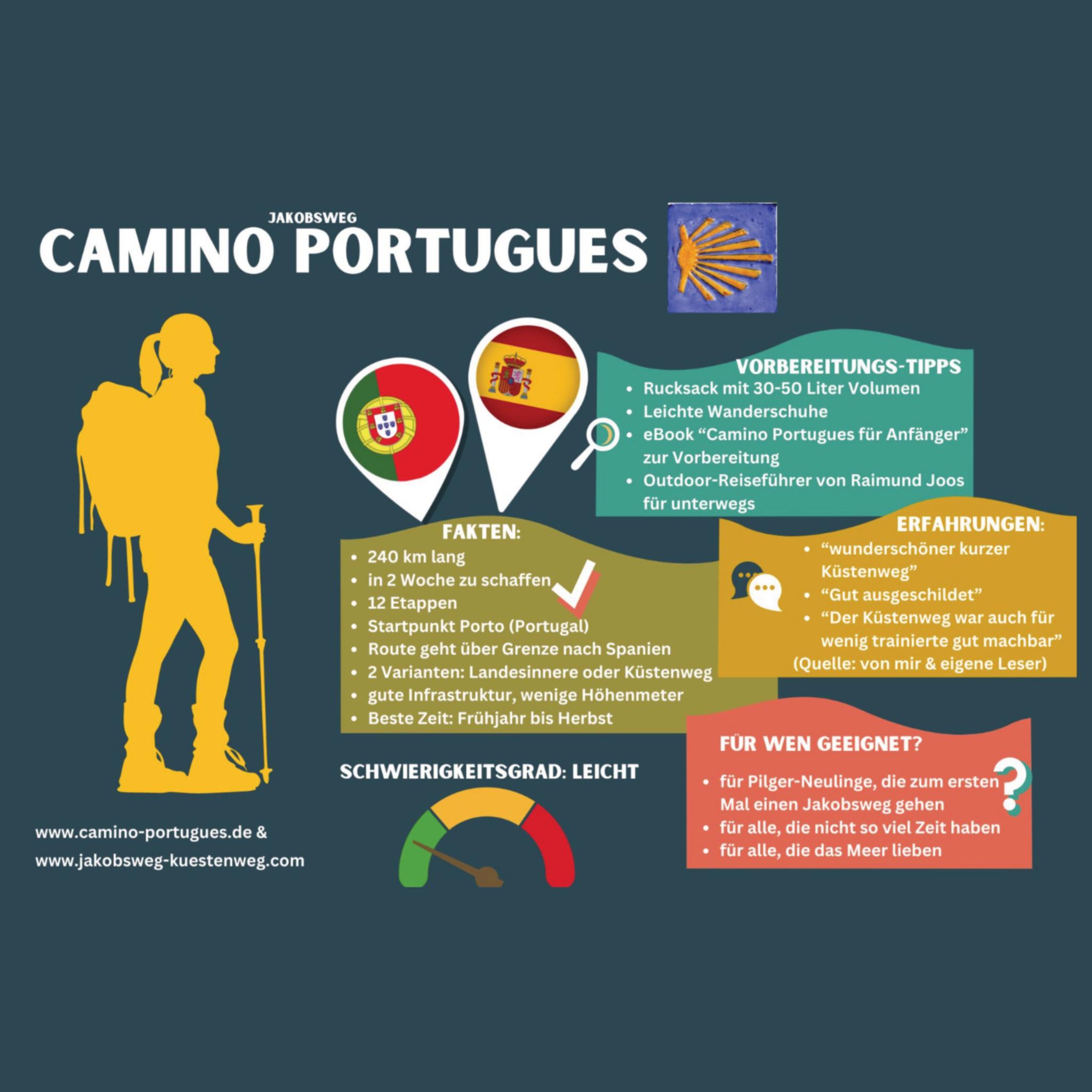 AAMINO PORTUGUES