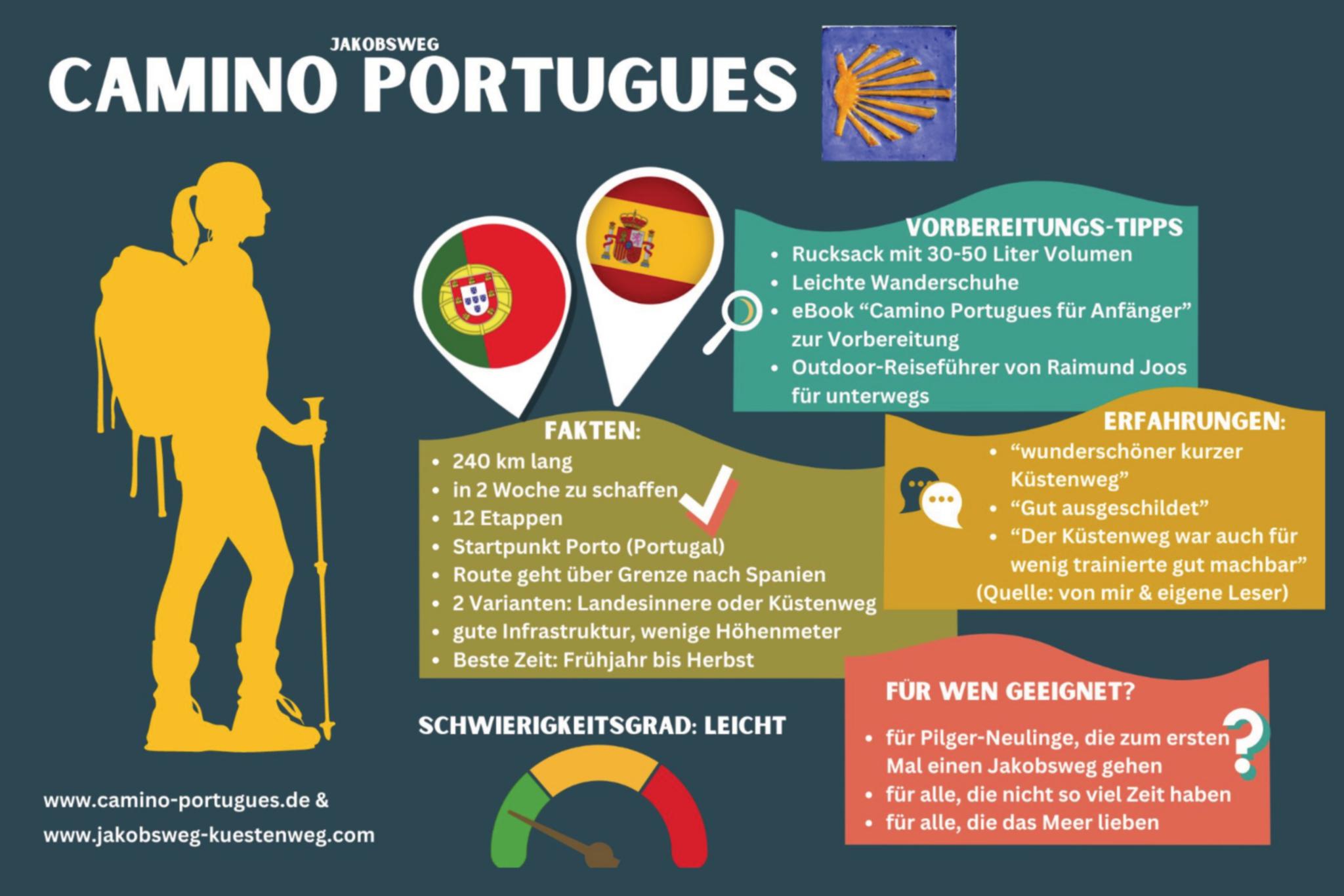 AAMINO PORTUGUES
