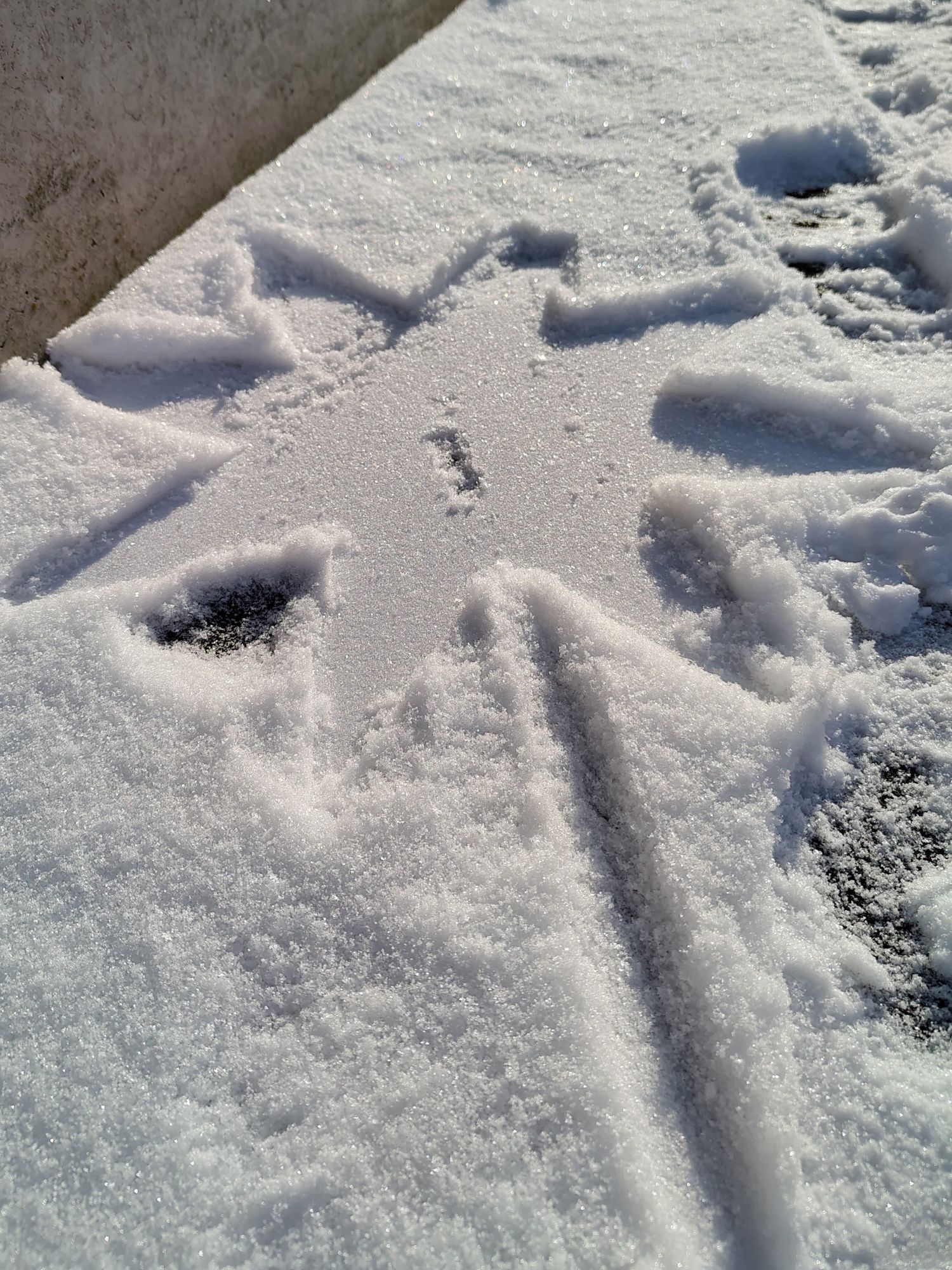 Eindruck hinterlassen: das Sternsingen 2026