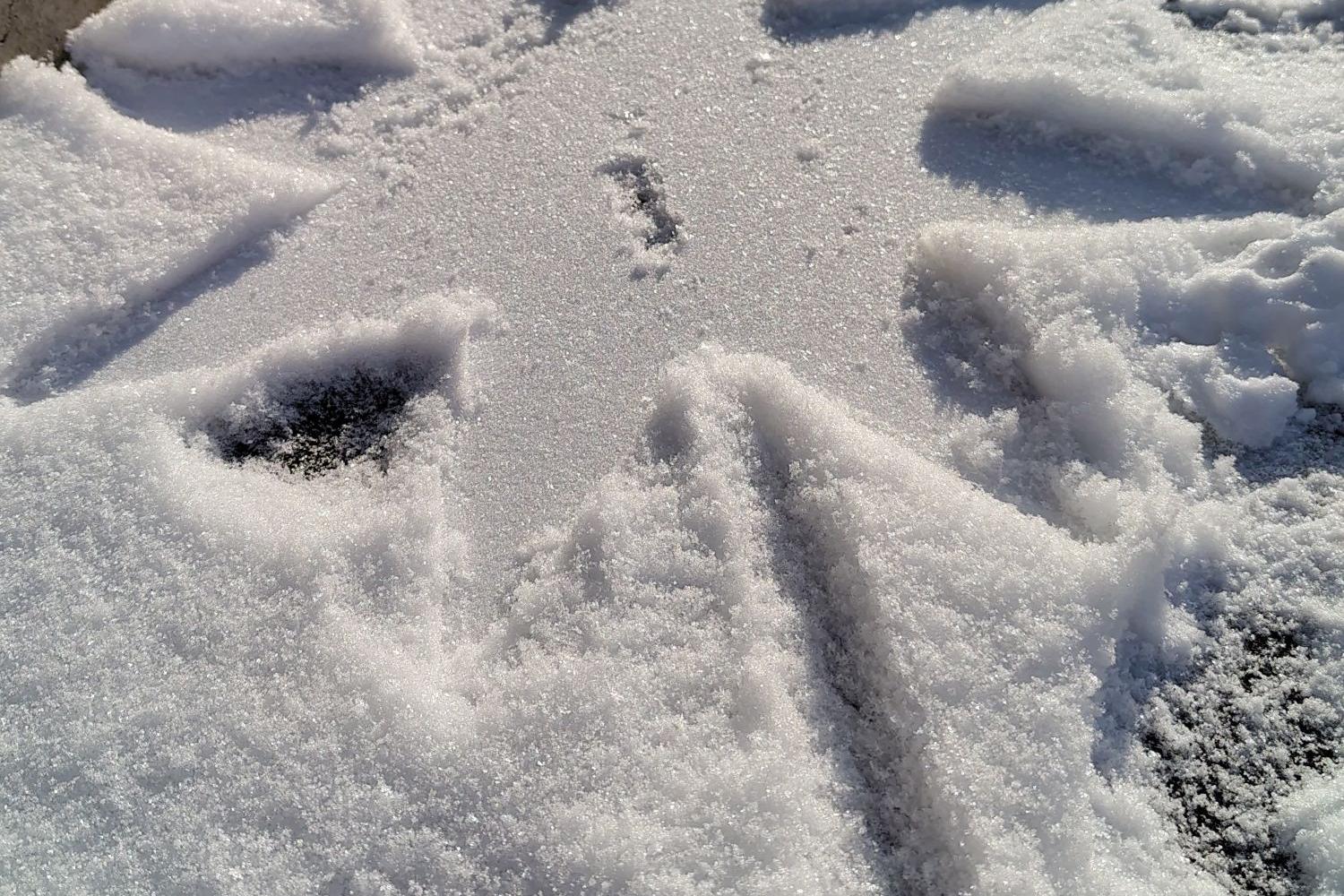 Eindruck hinterlassen: das Sternsingen 2026