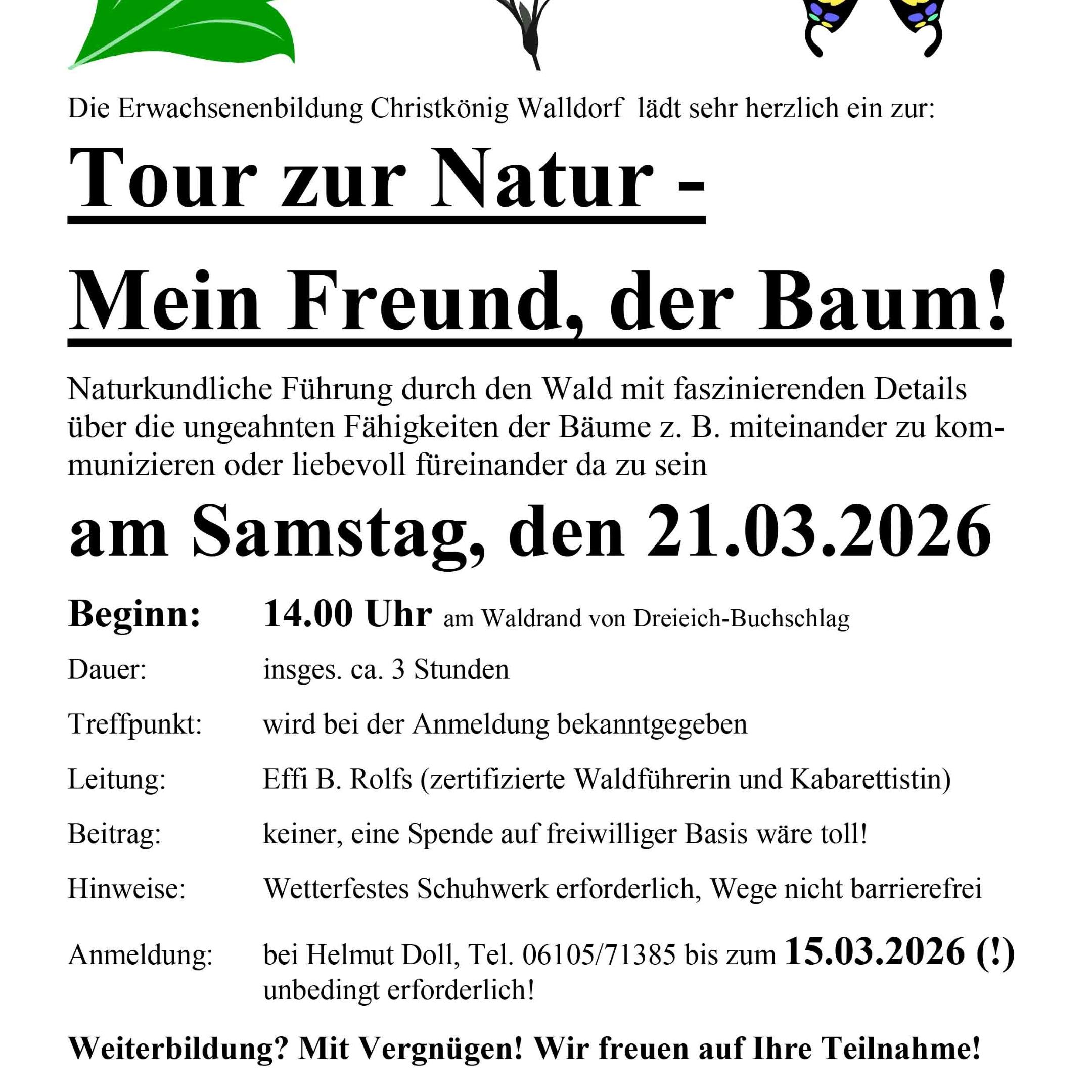 Tour zur Natur -_Mein Freund der Baum_