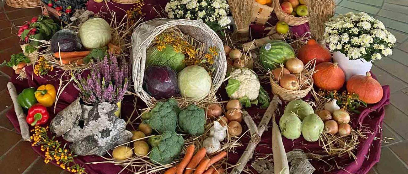 Erntedank-2022-St.Johannes-XXIII-Königstädten (c) Nadja Brandt Erntedank-2022-St.Johannes-XXIII-Königstädten