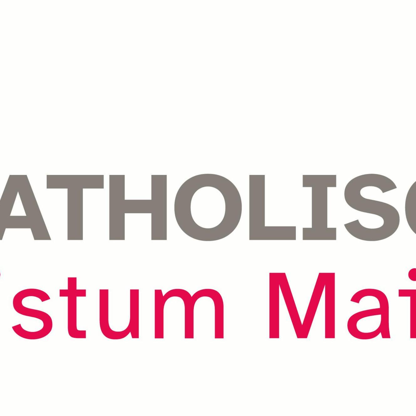 Logo Bistum Mainz