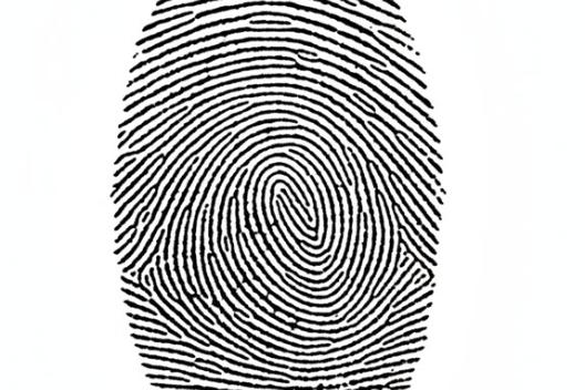 Fingerabdruck