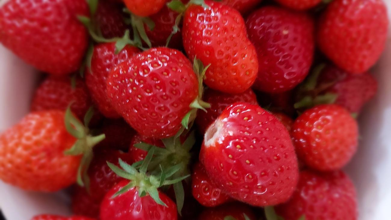 Erdbeeren (c) Kerstin Dupont Erdbeeren