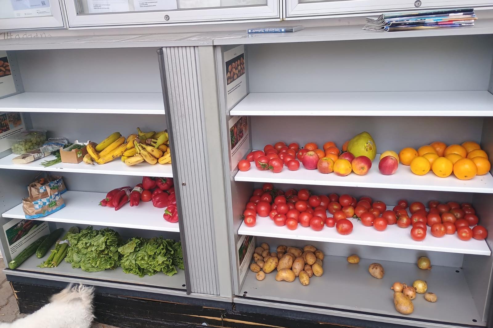 foodsharing Fairteiler beim ZMO in Mainz-Bretzenheim