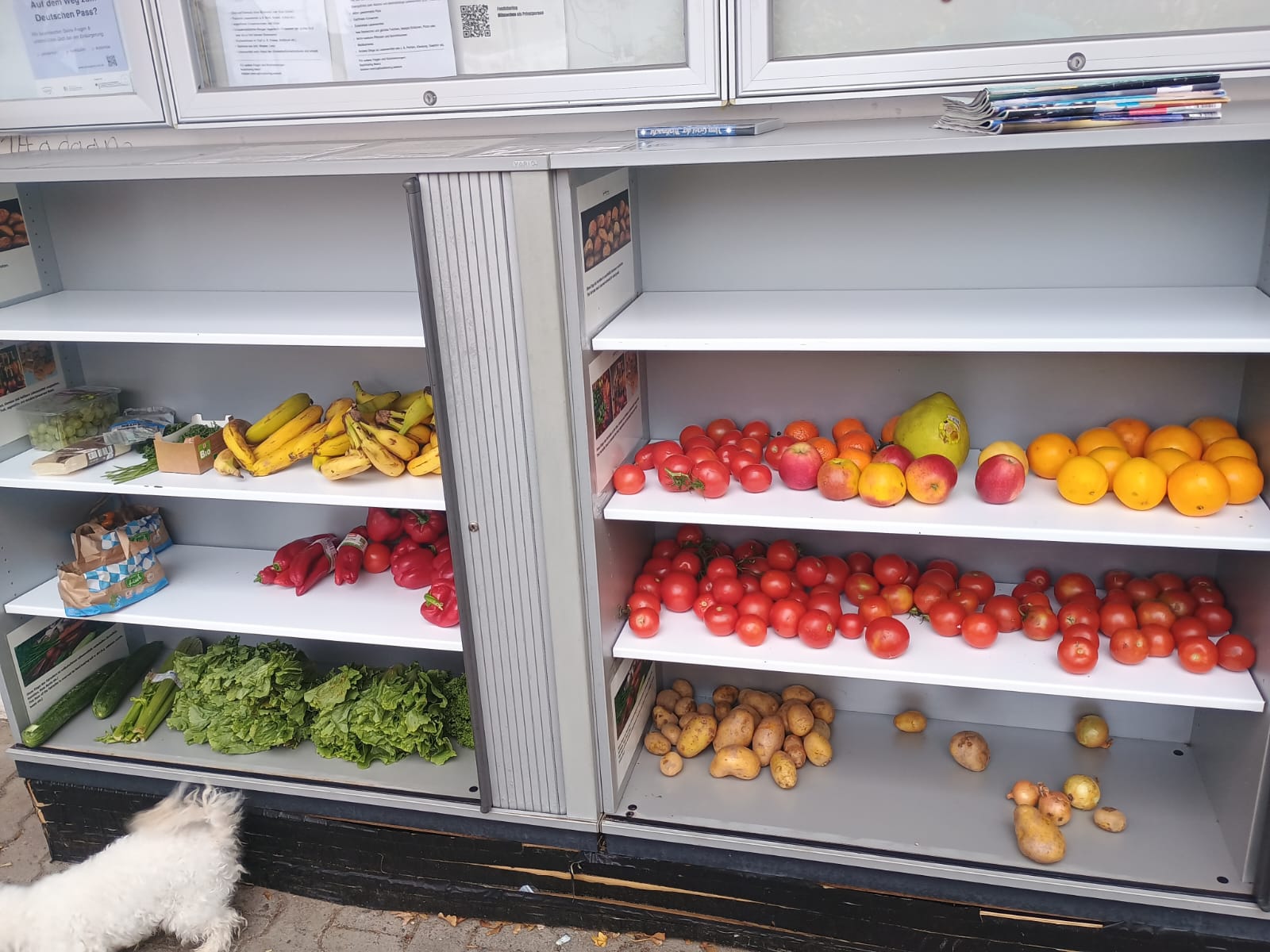 foodsharing Fairteiler beim ZMO in Mainz-Bretzenheim