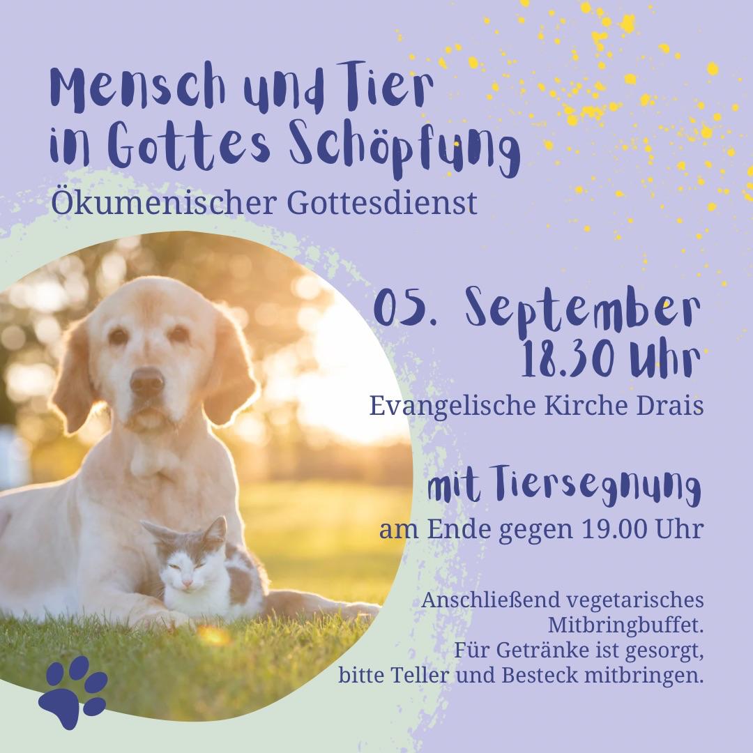 Mensch und Tier