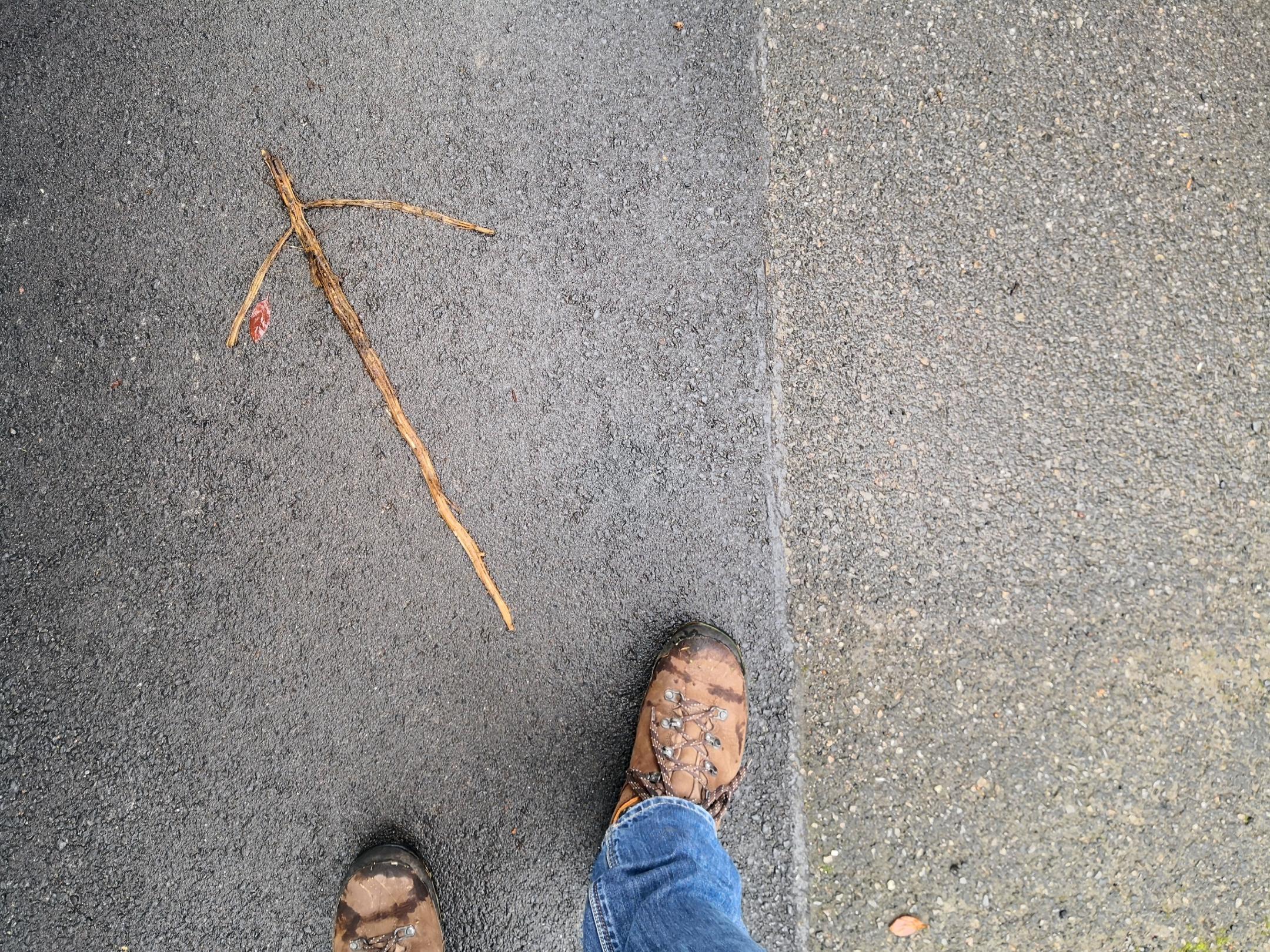 Pfeil auf dem Weg