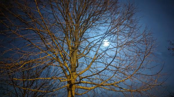 durch die nacht