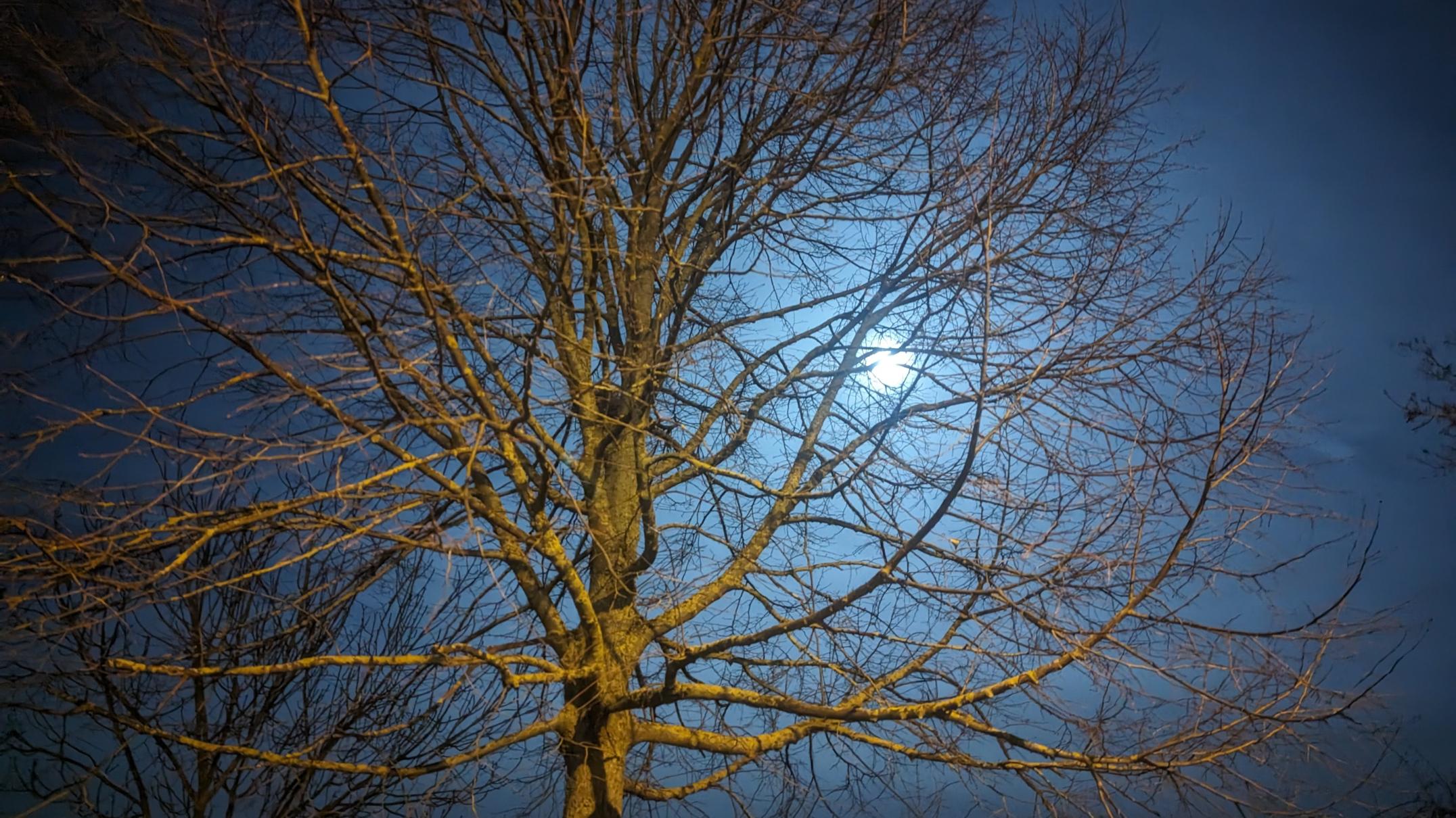 durch die nacht