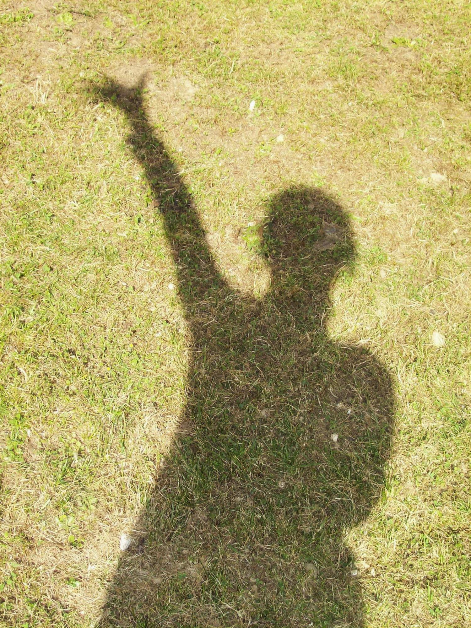 schatten