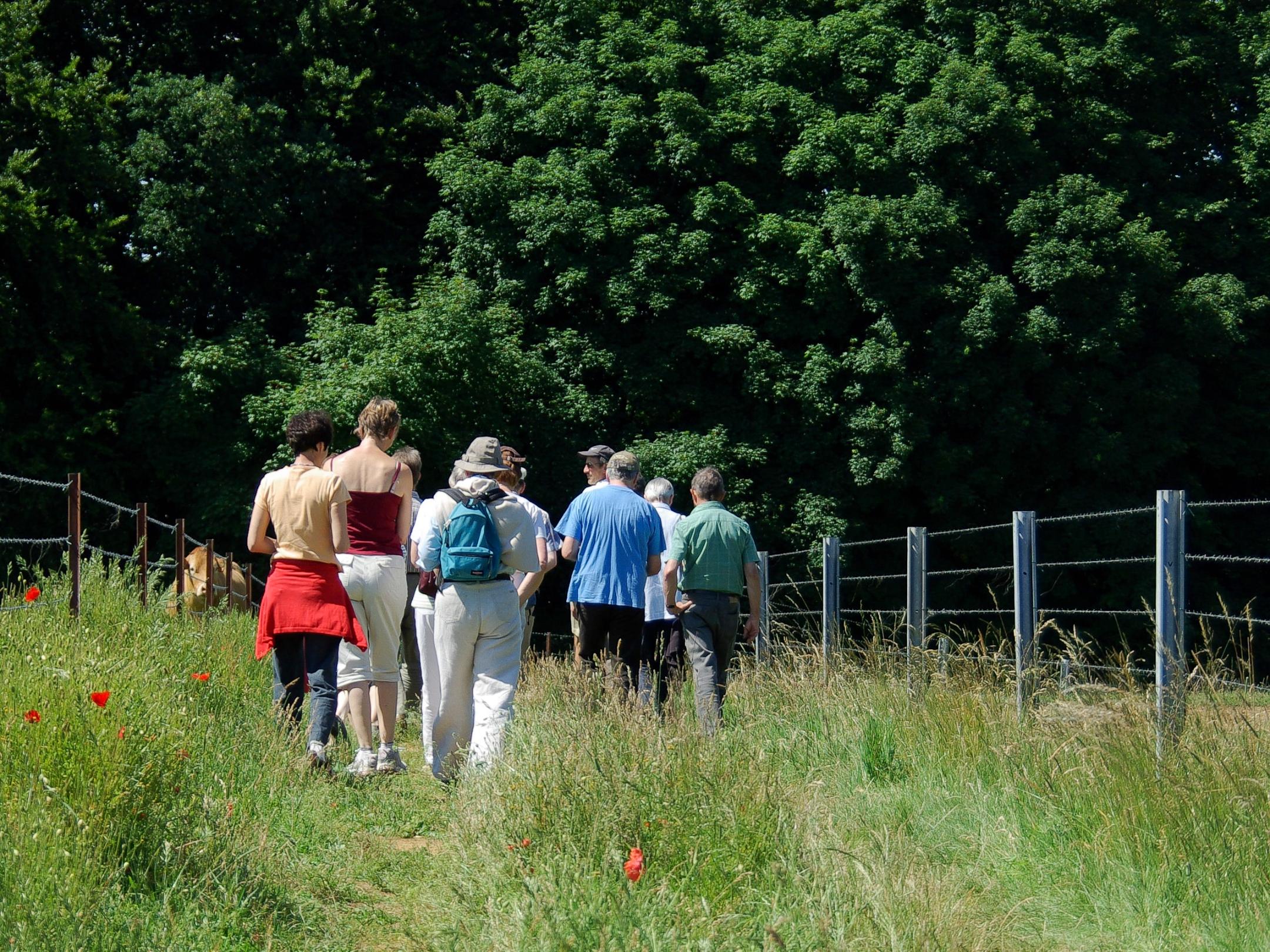 sommerwanderung