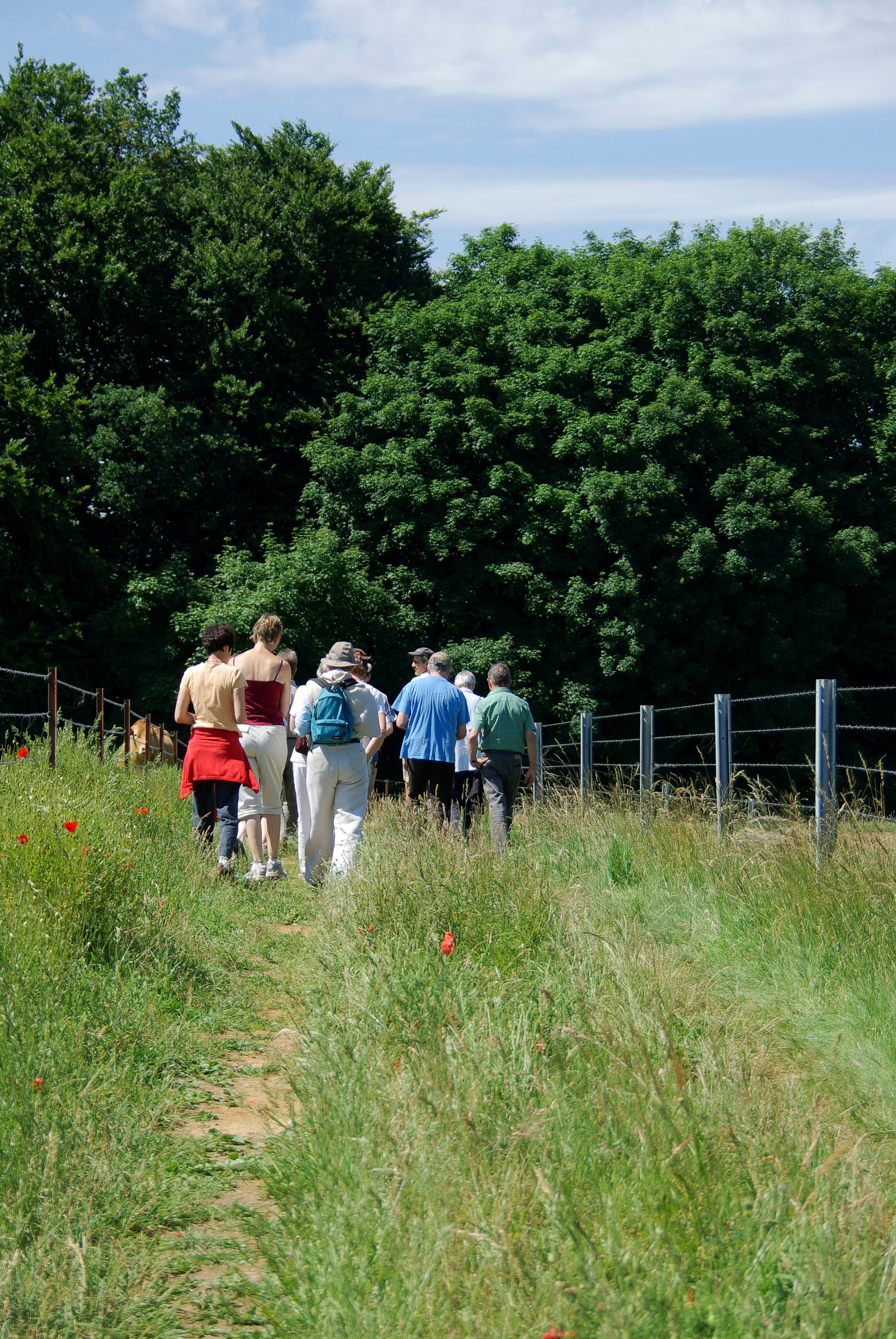sommerwanderung