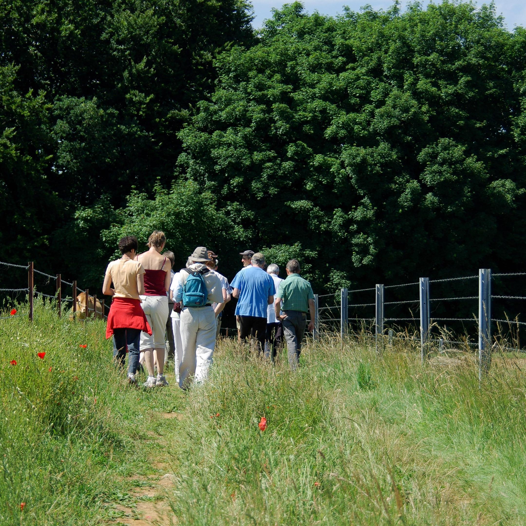 sommerwanderung