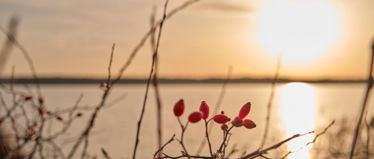 sonnenuntergang winter