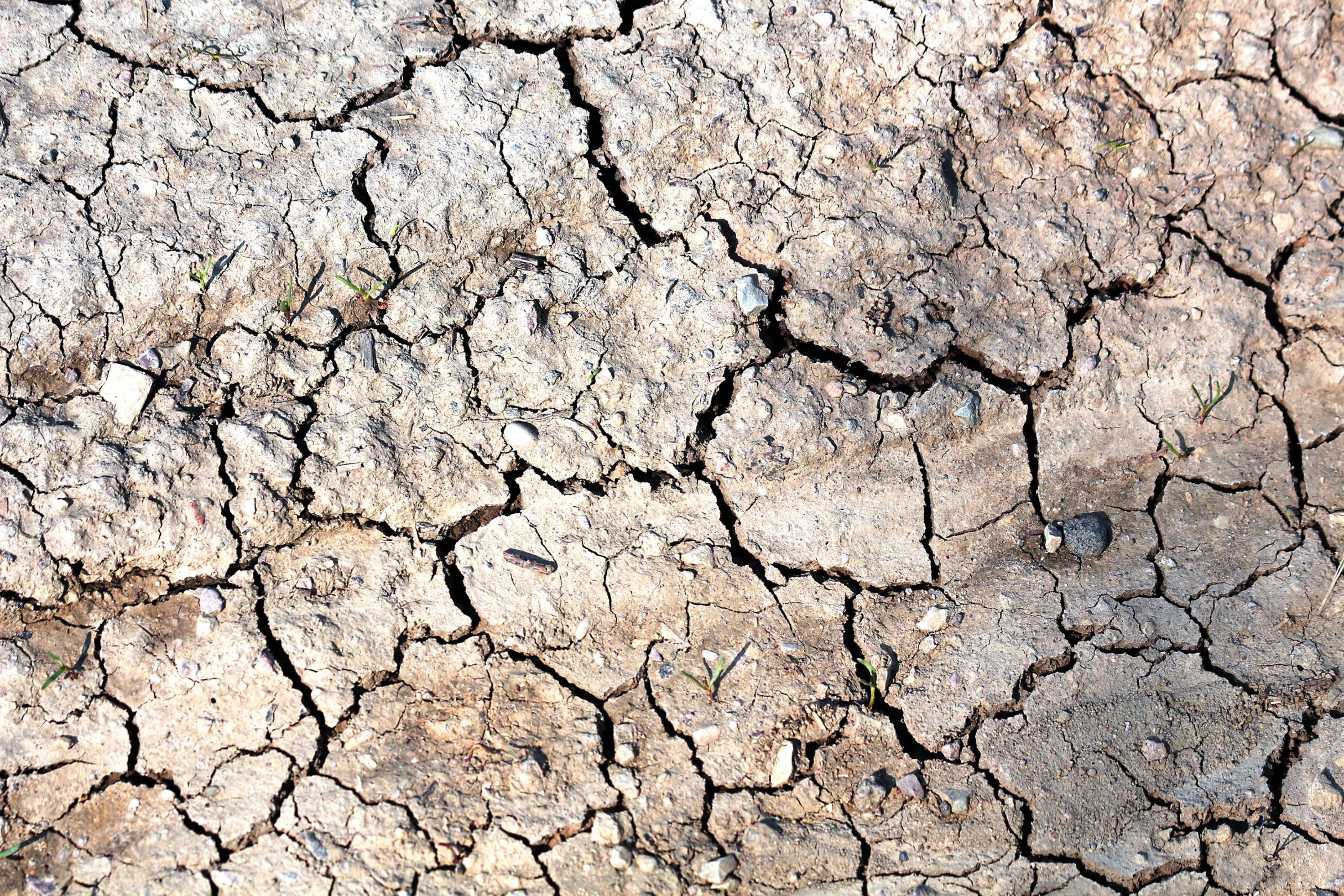 Trockenheit in Folge des Klimawandels