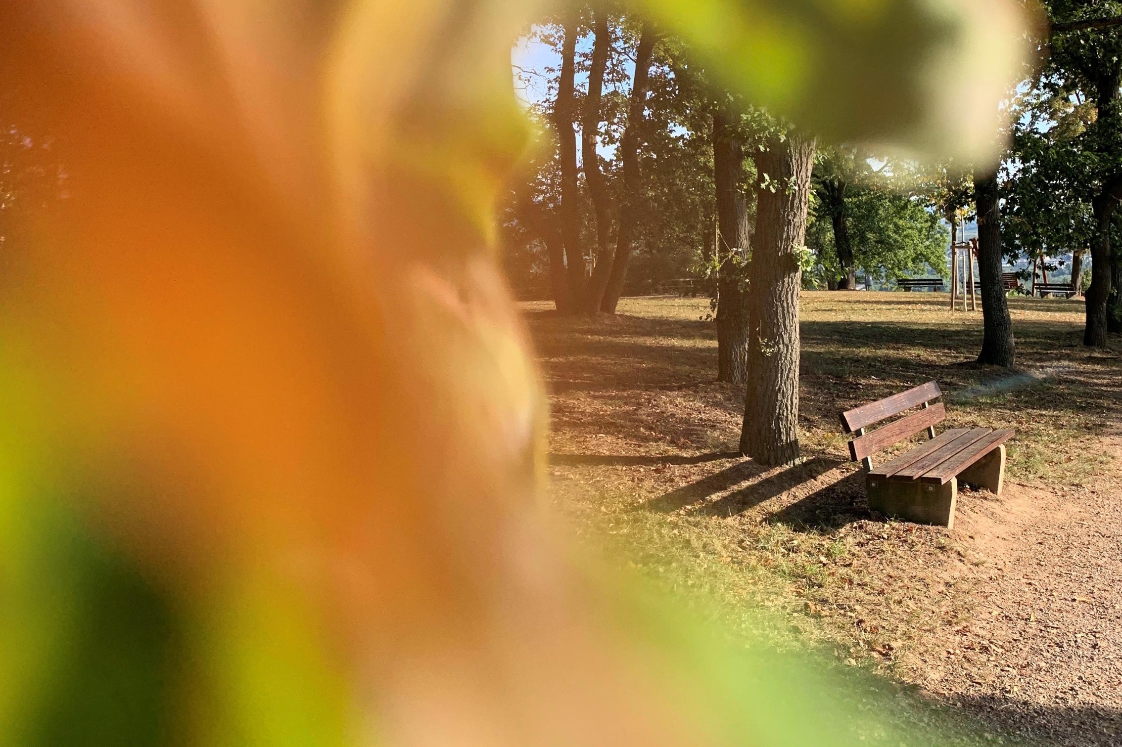 Besinnungstag für Frauen