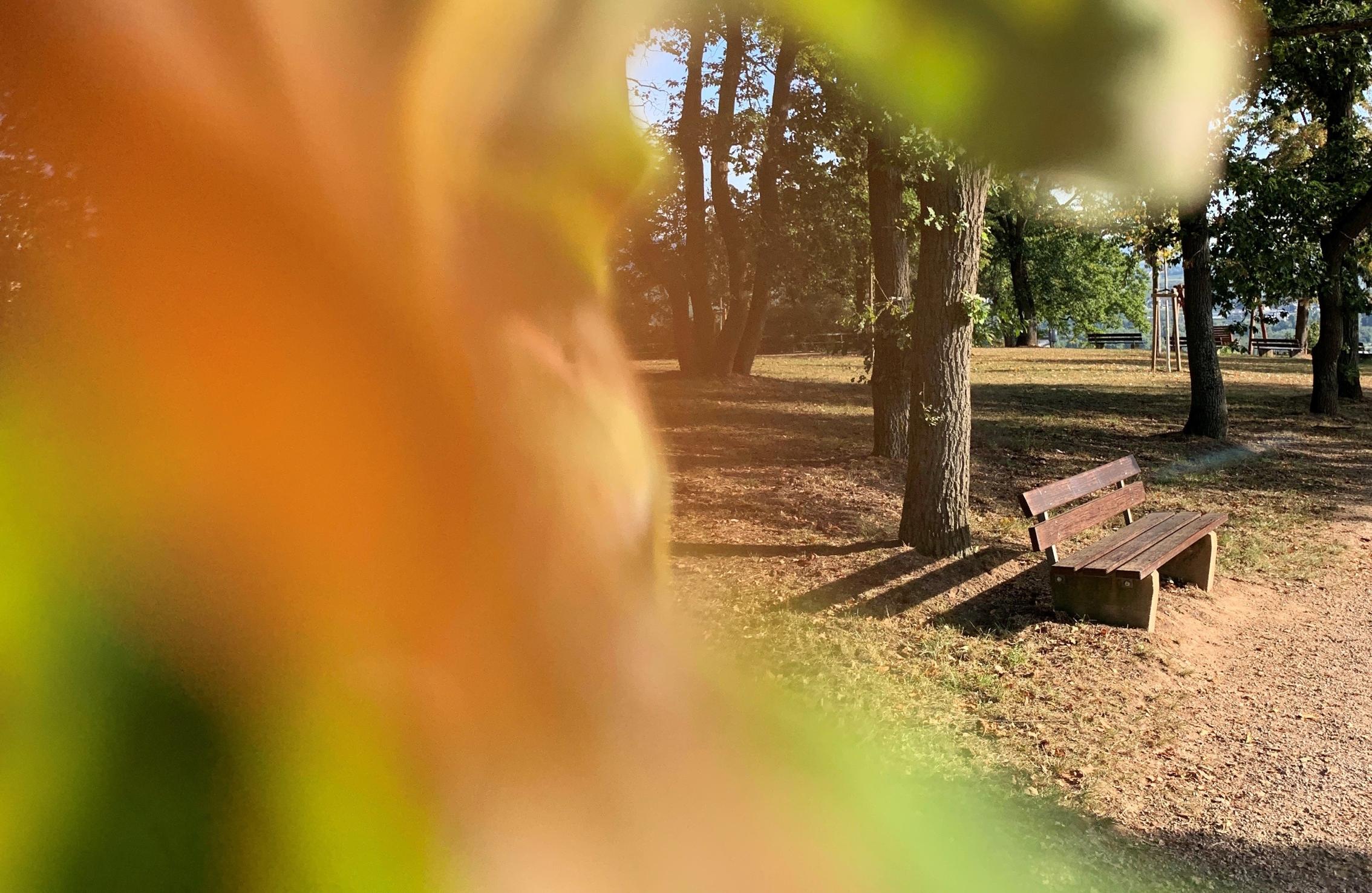 Besinnungstag für Frauen
