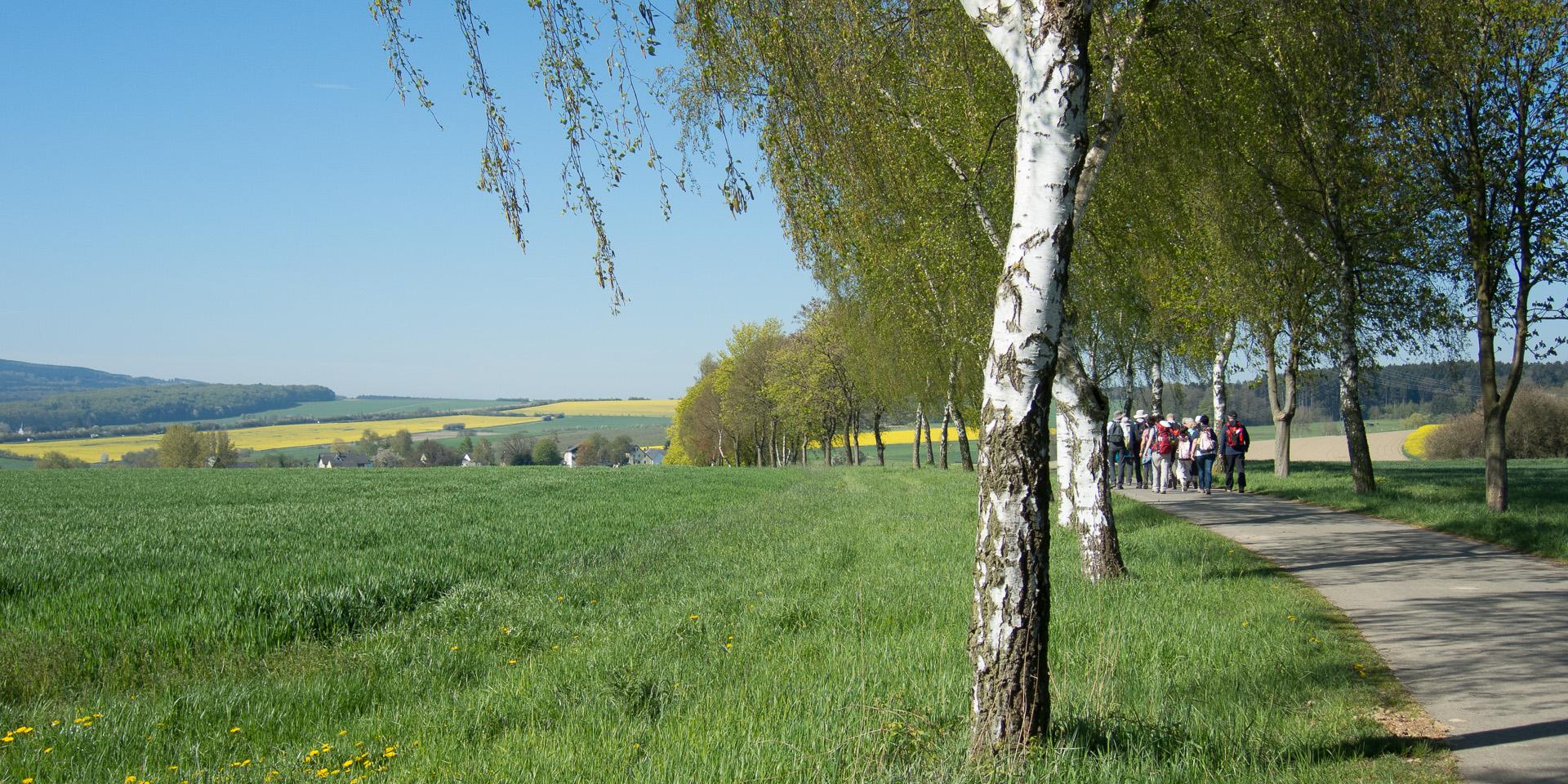 Pilgern