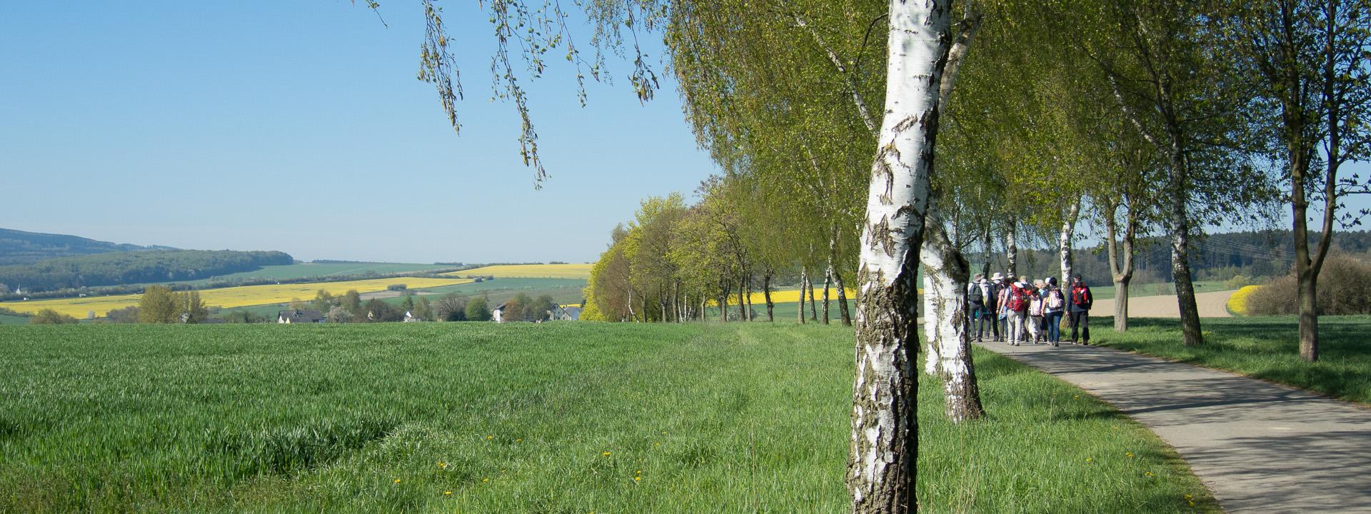 Pilgern