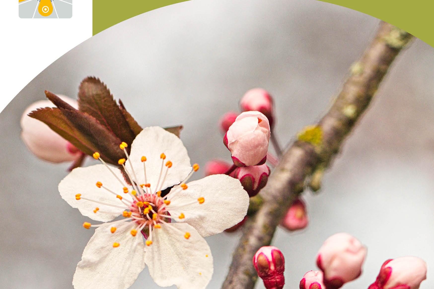 Pfarrbrief_1-26_Titelseite