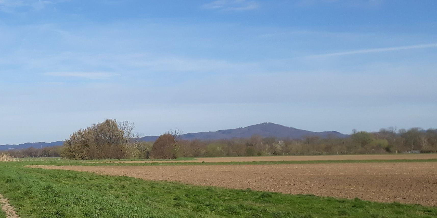 Riedlandschaft-Winter