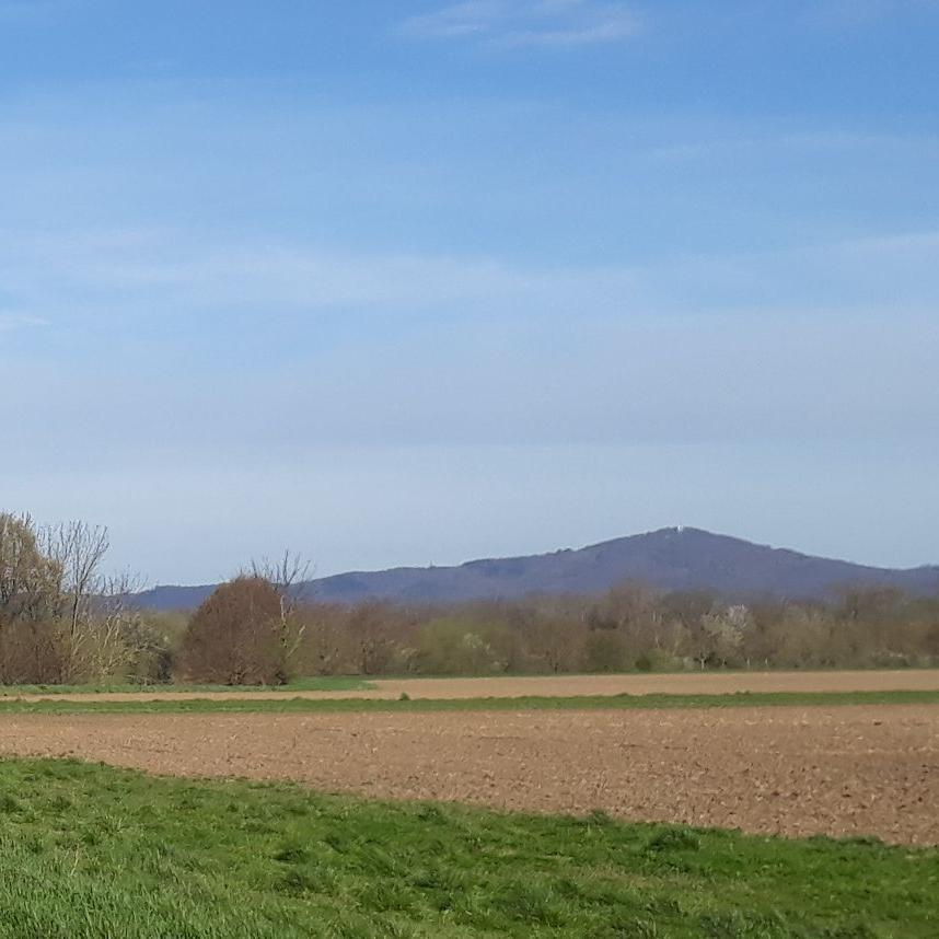 Riedlandschaft-Winter