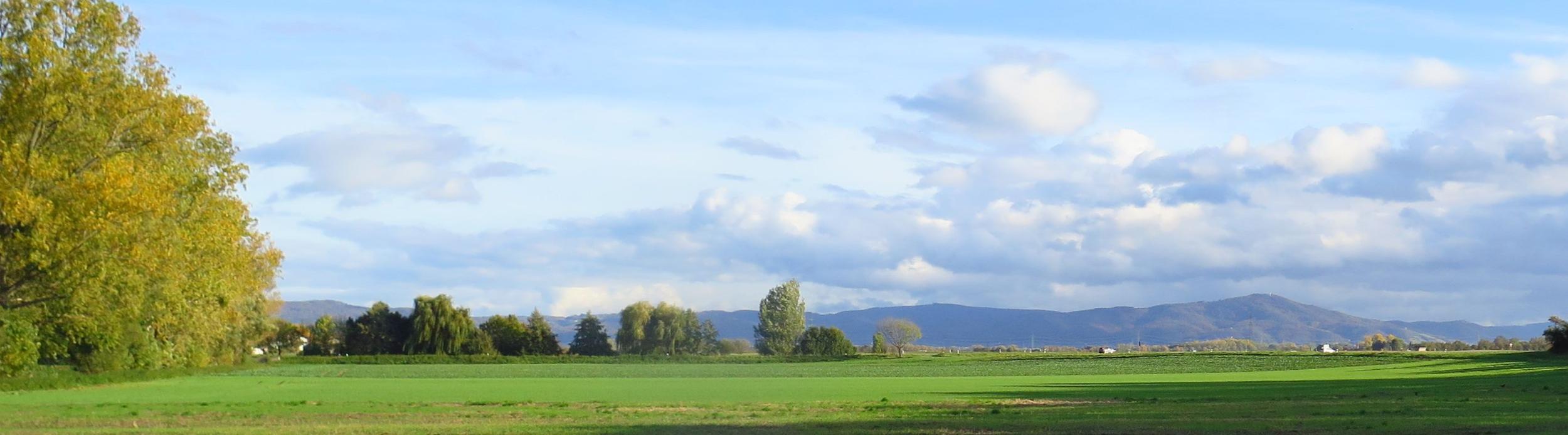 Riedlandschaft-Herbst