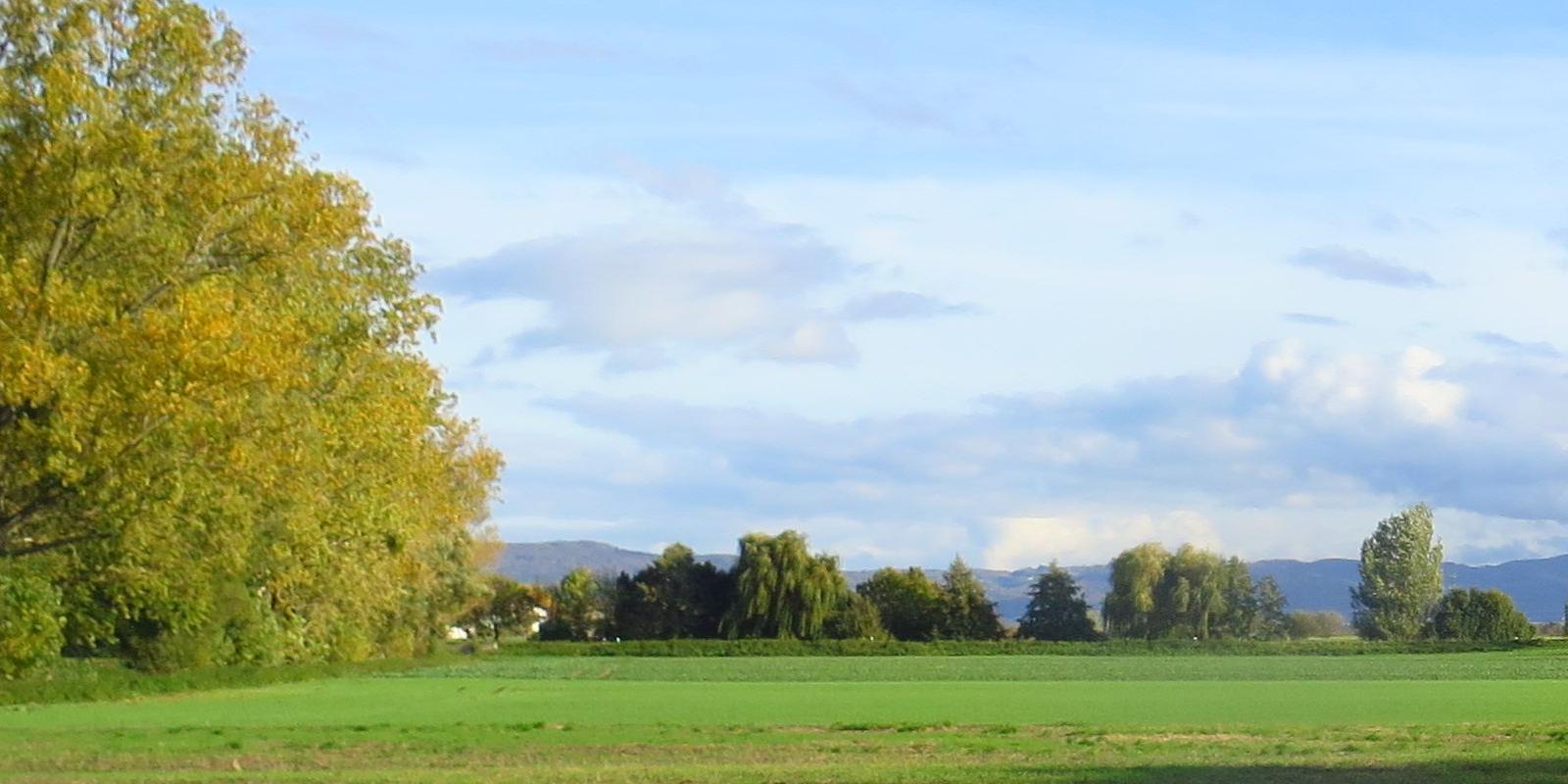 Riedlandschaft-Herbst