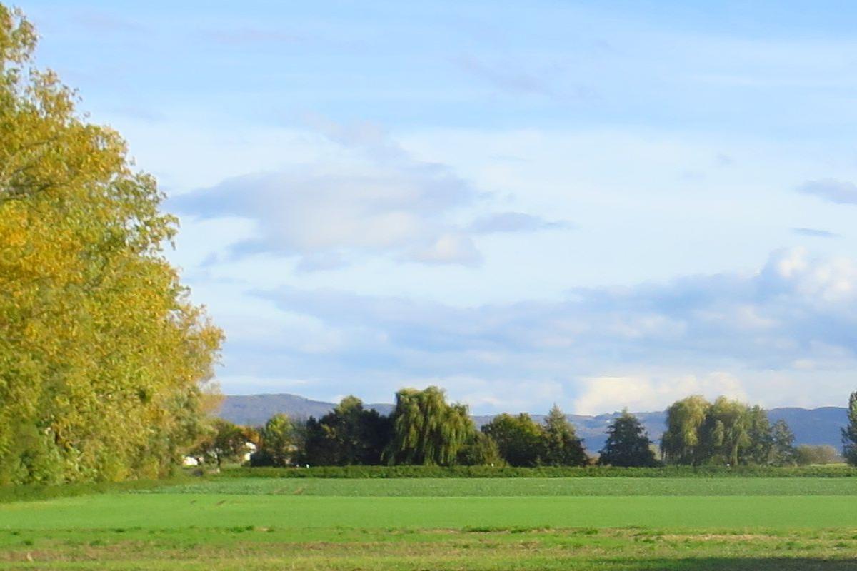 Riedlandschaft-Herbst