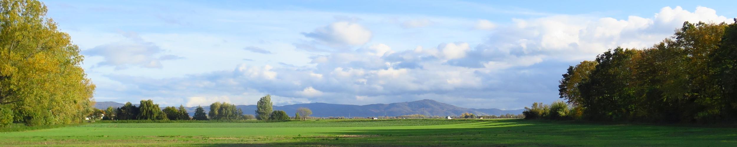 Riedlandschaft-Herbst