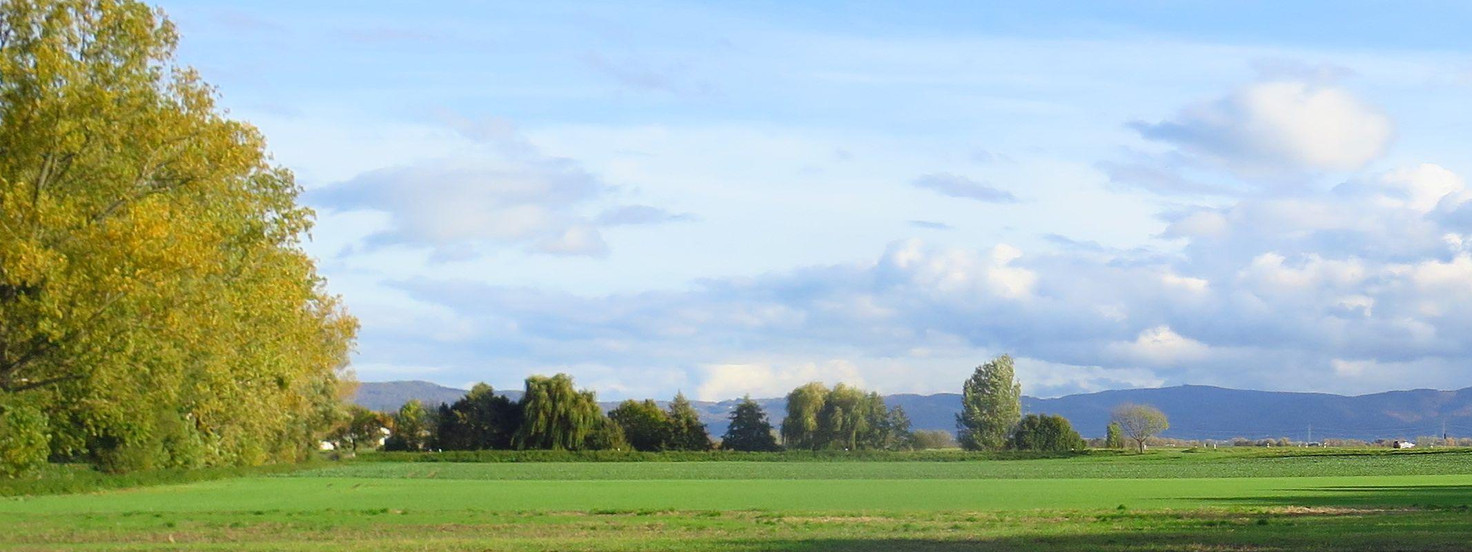Riedlandschaft-Herbst