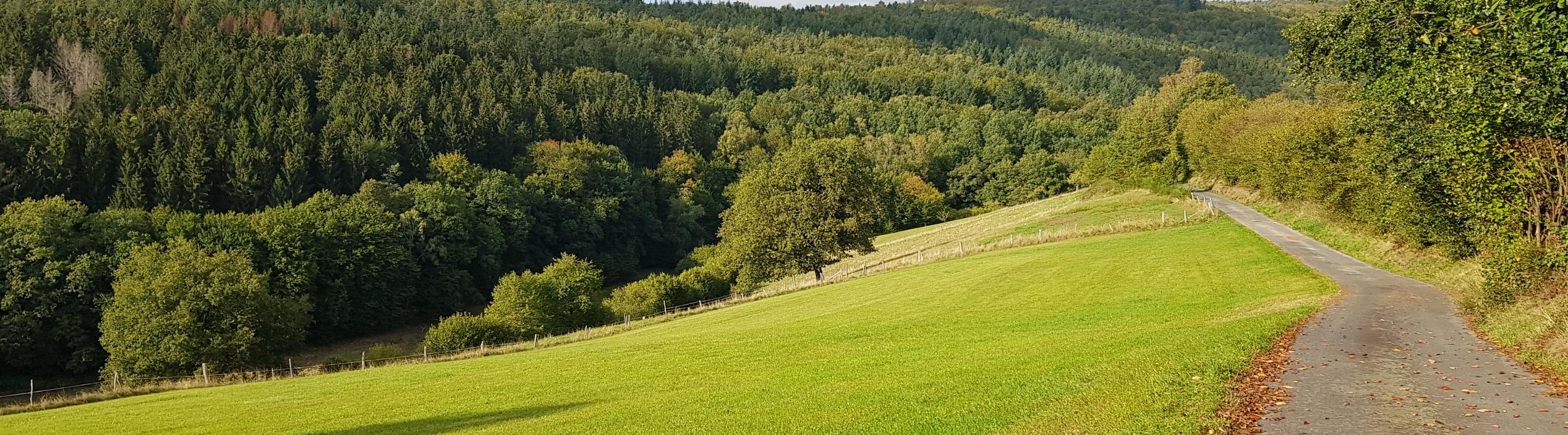 Dreiseental