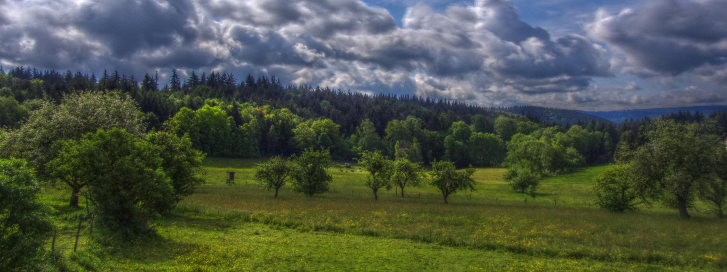 Odenwald