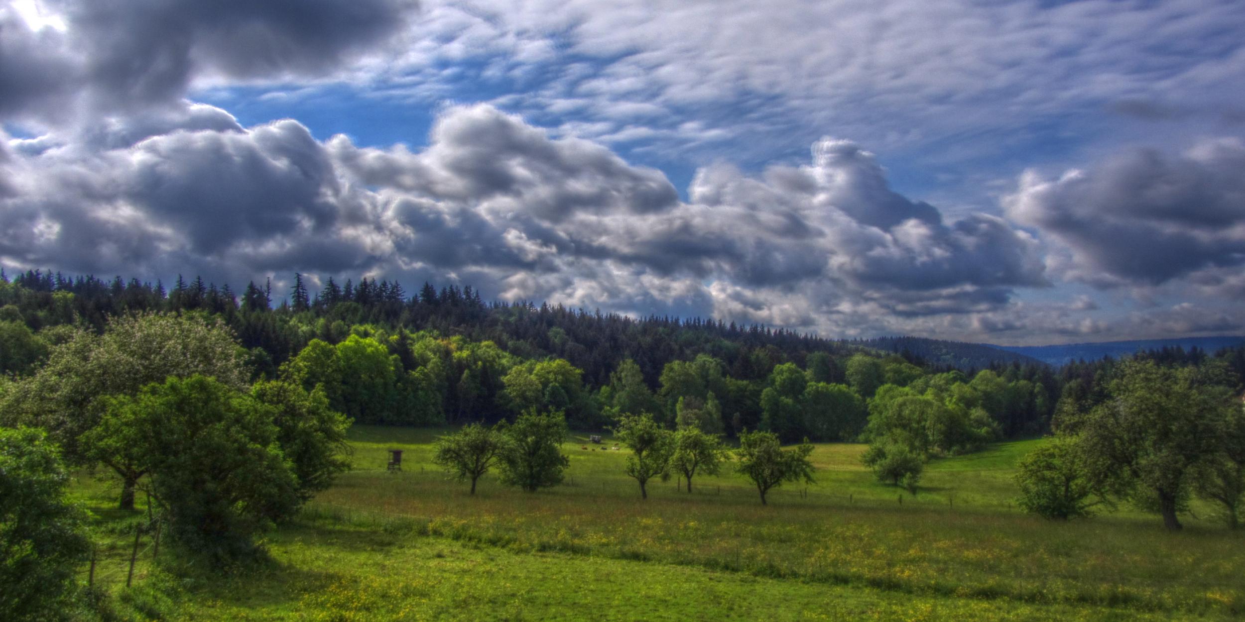 Odenwald